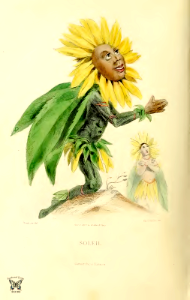 Sunflower (1867). Free illustration for personal and commercial use.
