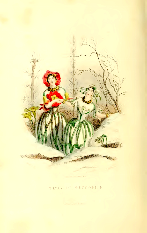 Primevére, primrose (1867)