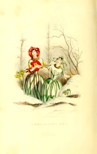 Primevére, primrose (1867). Free illustration for personal and commercial use.