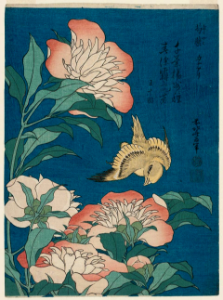Peonies and a canary (1834). Free illustration for personal and commercial use.