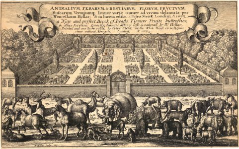 title-page, Animalium, Ferarum, & Bestiarum (1663)