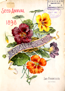 Nasturtiums. Cox Seed Annual (1898)