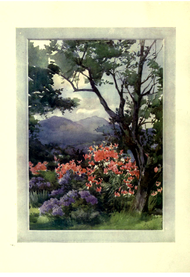 Flower grouping in English, Scotch & Irish gardens, notes & 56 sketches in colour, by Margaret Waterfield (1907)