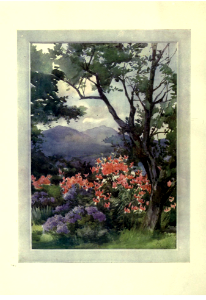 Flower grouping in English, Scotch & Irish gardens, notes & 56 sketches in colour, by Margaret Waterfield (1907). Free illustration for personal and commercial use.