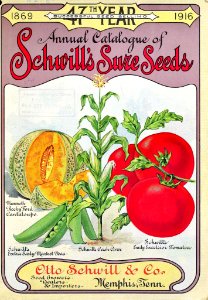 Annual catalogue of Schwill's Sure Seeds (1916). Free illustration for personal and commercial use.