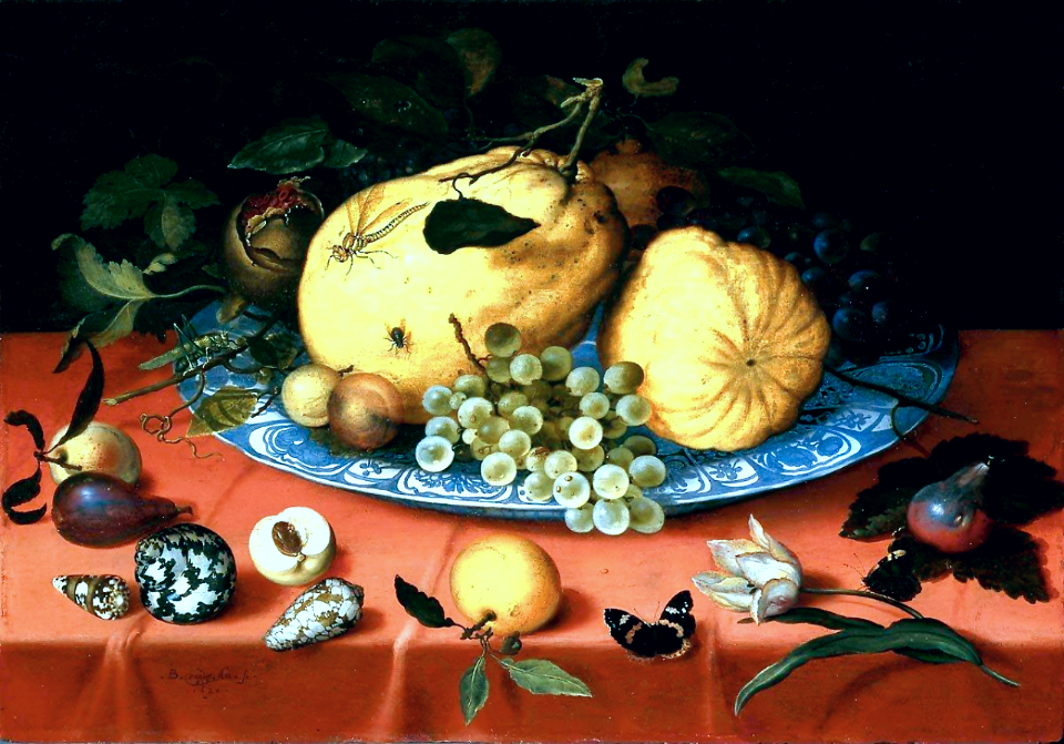 Fruit still life with shells and a tulip
