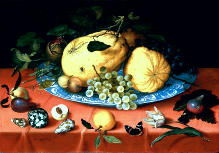 Fruit still life with shells and a tulip. Free illustration for personal and commercial use.