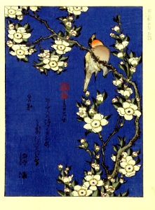 Robin on branch of cherry blossoms. Katsushika Hokusai (1760-1849)