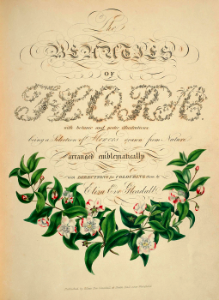 The beauties of flora- with botanic and poetic illustrations, being a selection of flowers drawn from nature arranged emblematically- with directions for colouring them by Gleadall, Eliza Eve (1834).. Free illustration for personal and commercial use.