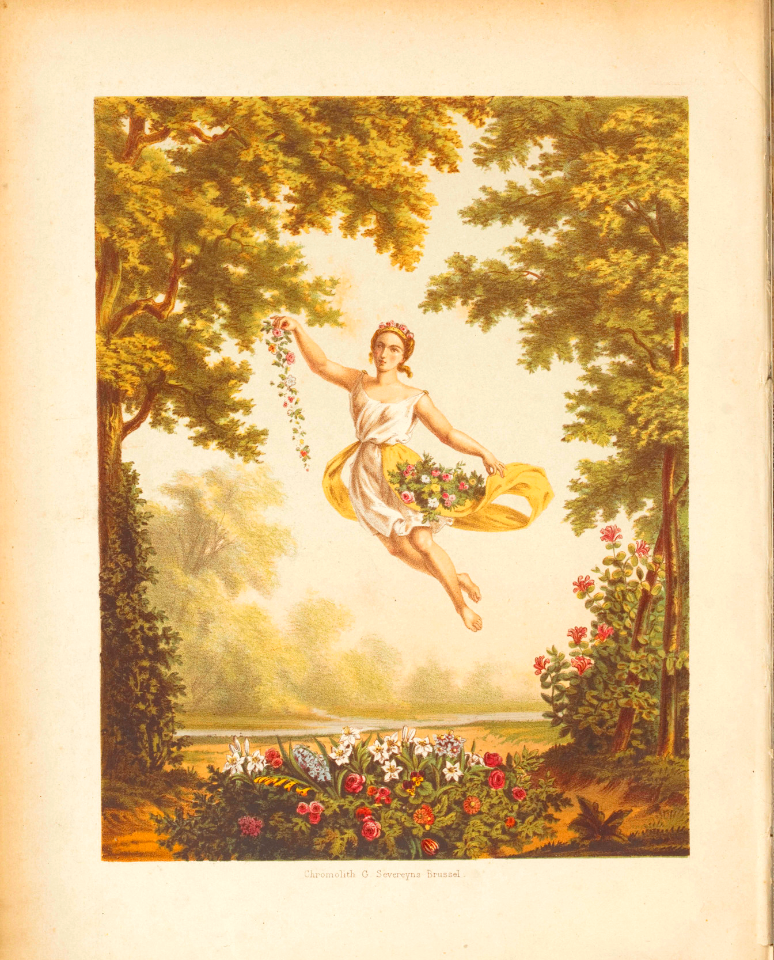 Flora. Witte, H., Flora. Afbeeldingen en beschrijvingen van boomen, heesters, éénjarige planten, enz., voorkomende in de Nederlandsche tuinen, t. 0 (1868) [A.J. Wendel]