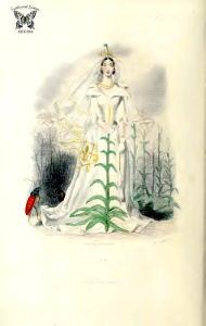 Fleur-de-lis, Reine de France (Lily, Lilium). Les fleurs animées, vol. 2 (1867)