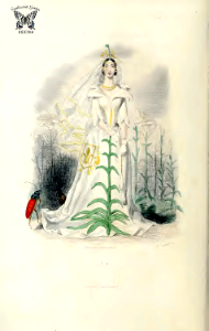 Fleur-de-lis, Reine de France (Lily, Lilium). Les fleurs animées, vol. 2 (1867). Free illustration for personal and commercial use.