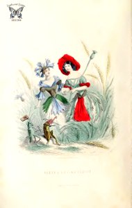 Bluet, and Coquelicot. Blue cornflower (Cyanus segetum) and Red cornflower (Poppy, Papaver rhoeas). Les fleurs animées, vol. 2 (1867). Free illustration for personal and commercial use.