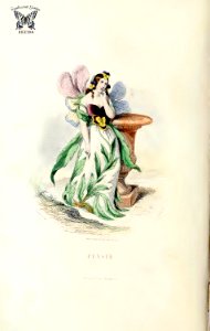 Pensée (Pansy, Johnny jump-up, Viola tricolor). Les fleurs animées, vol. 2 (1867). Free illustration for personal and commercial use.