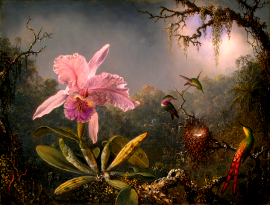 Cattelya orchid with 3 Brazilian hummingbirds. A painting of the Amazon rain forest by Martin Johnson Heade (1871)