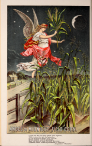 Corn 'Angel of Midnight.' Joseph Breck and Sons 1886. Free illustration for personal and commercial use.