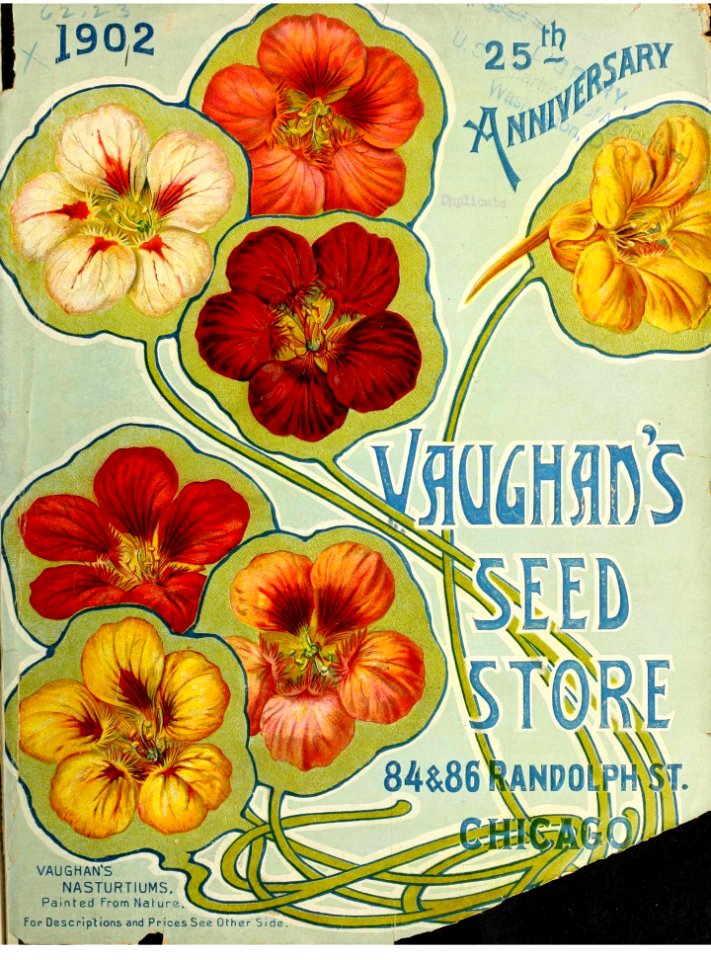 Nasturtiums. Vaughan's Seed Store (1902)