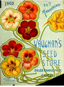 Nasturtiums. Vaughan's Seed Store (1902). Free illustration for personal and commercial use.