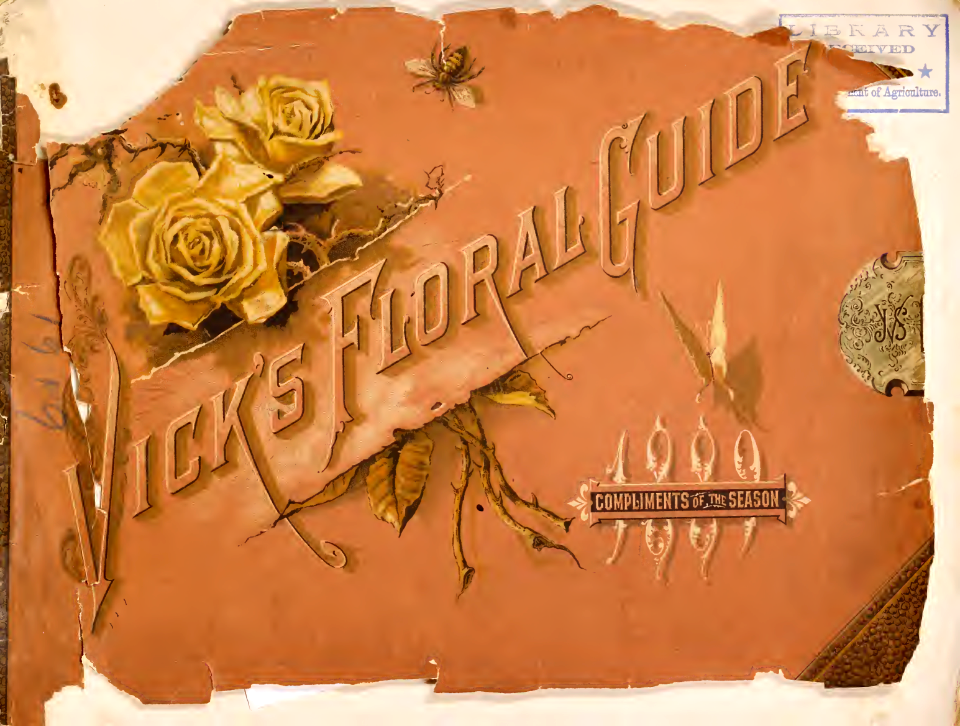 Roses. Vick's Garden and Floral Guide (1889)