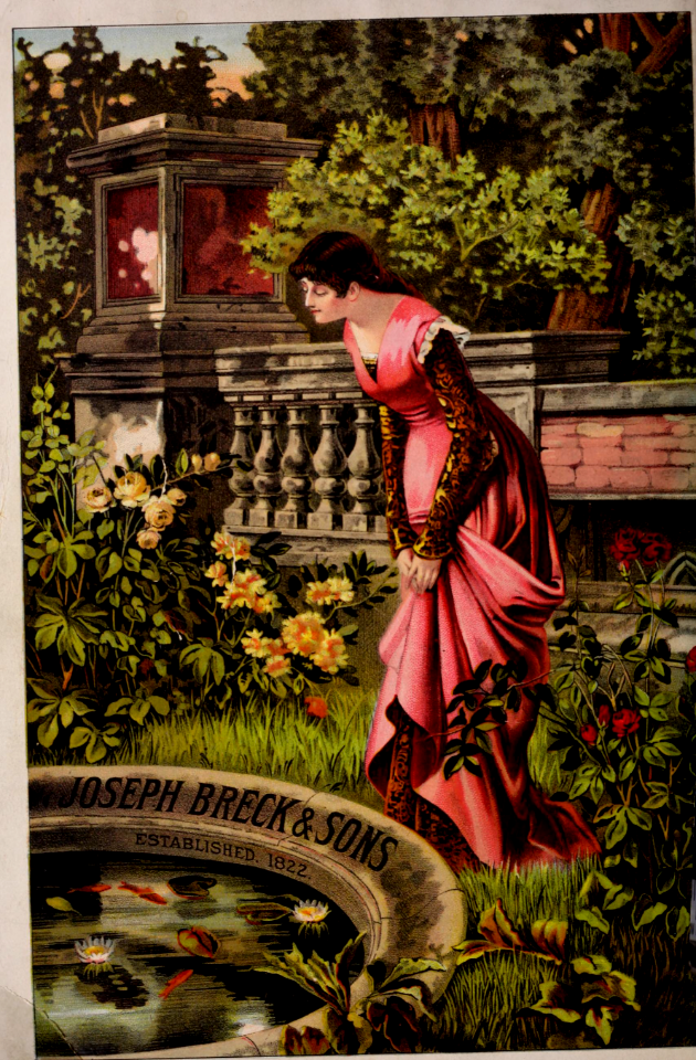 Water liles and roses. Joseph Breck and Sons (1886)
