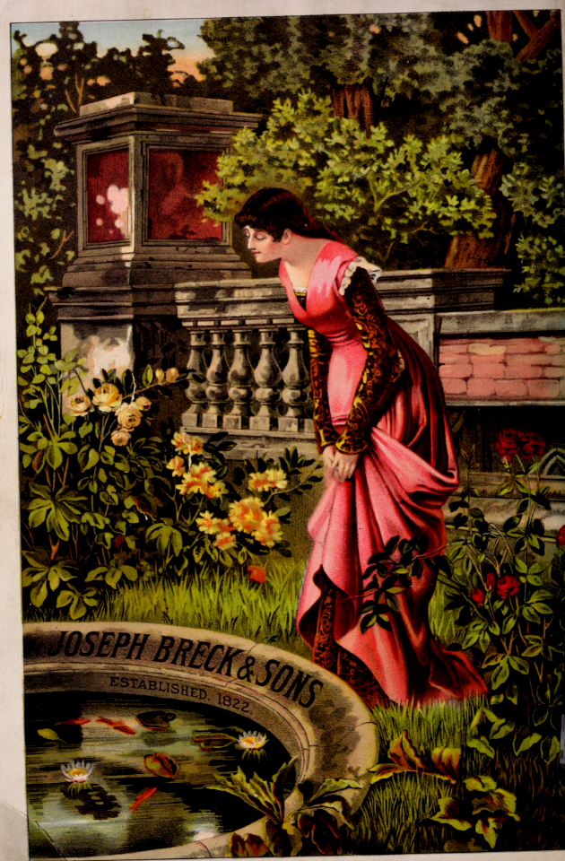 Water liles and roses. Joseph Breck and Sons (1886). Free illustration for personal and commercial use.