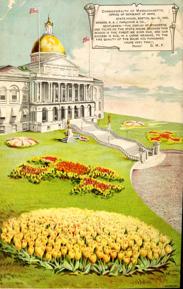 Tulips in front of the State House in Boston. R. & J. Farquhar & Co. (1900?)
