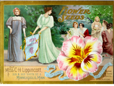 Nasturtium, climbing. Miss C.H. Lippincott Pioneer Seedswoman (1898)