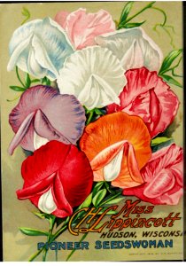 Sweet peas. Miss C.H. Lippincott Pioneer Seedswoman (1912). Free illustration for personal and commercial use.