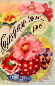 Petunia, verbena, shirly poppy, pansy, nasturtium, and cosmos. Cole's Garden Annual (1905). Free illustration for personal and commercial use.