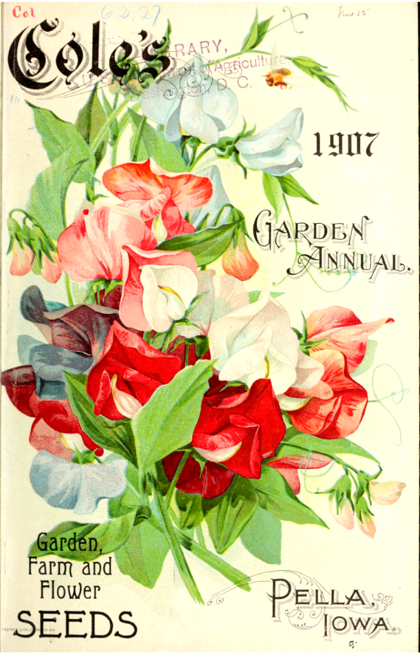 Sweet peas. Cole's Garden Annual (1907)