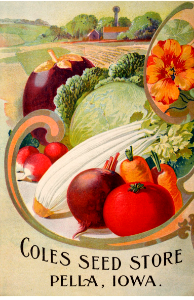 Vegetable mix, and nasturtiums. Cole's Garden Annual back cover (1905). Free illustration for personal and commercial use.