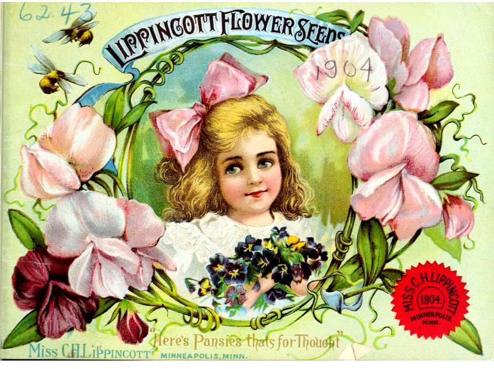 Sweet Peas. Miss C.H. Lippincott Pioneer Seeds Woman (1904)