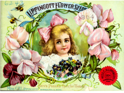 Sweet Peas. Miss C.H. Lippincott Pioneer Seeds Woman (1904). Free illustration for personal and commercial use.