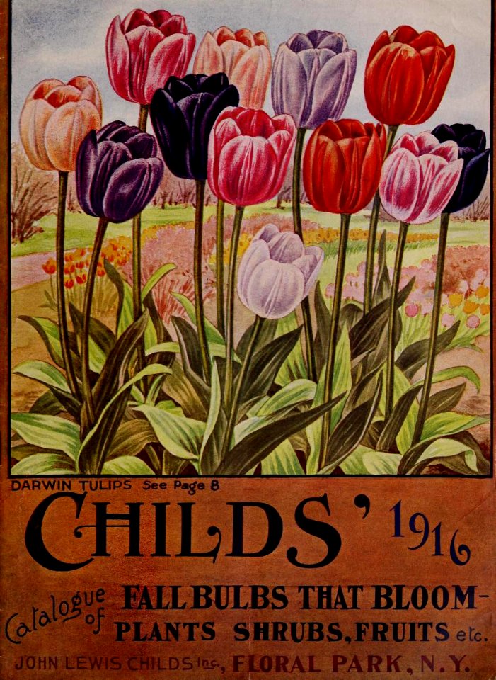Tulips. Childs' Fall Bulbs Catalogue (1916)