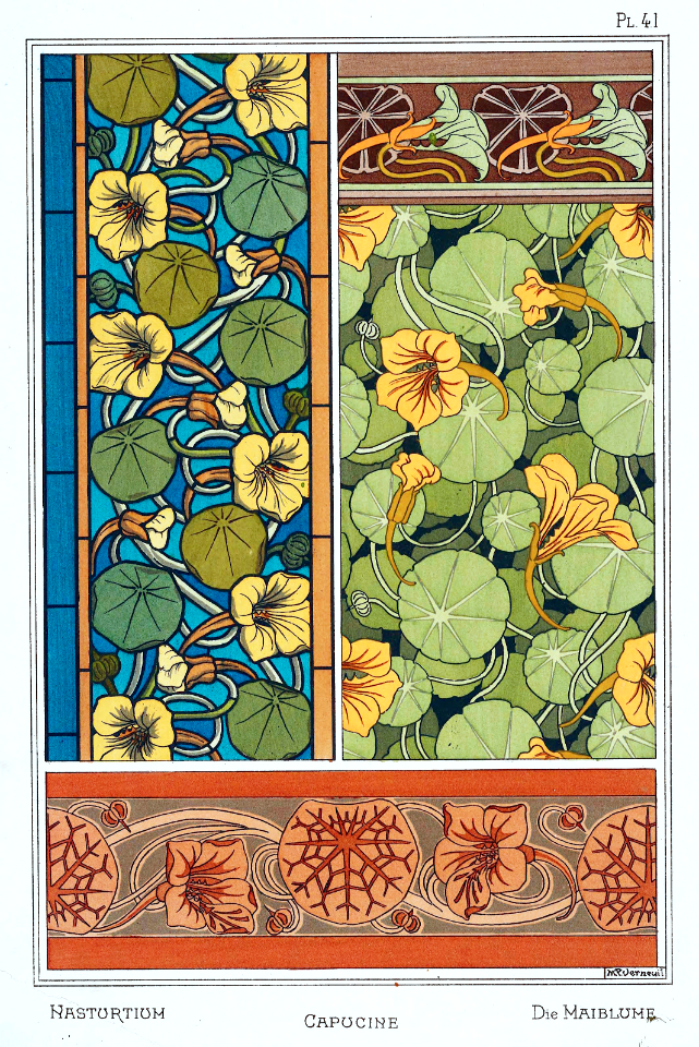Nasturtium capucine-kapuzinerkreffe. La plante et ses applications ornementales by Grasset, M. E. Illustration by Maurice Pillard Verneuil (1896)