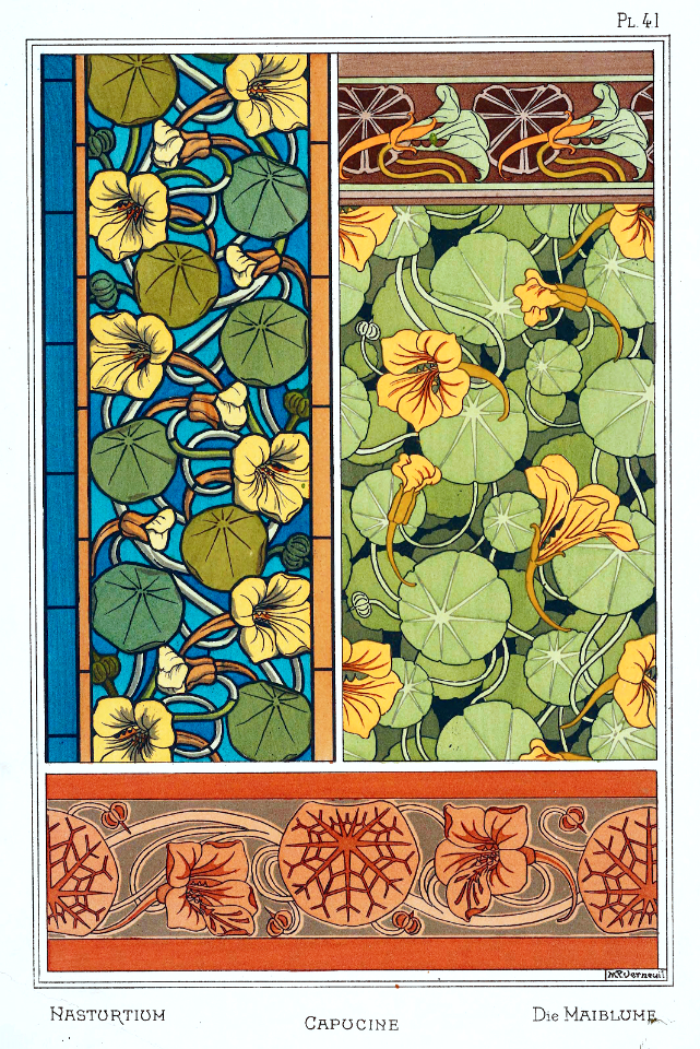 Nasturtium capucine-kapuzinerkreffe. La plante et ses applications ornementales by Grasset, M. E. Illustration by Maurice Pillard Verneuil (1896). Free illustration for personal and commercial use.