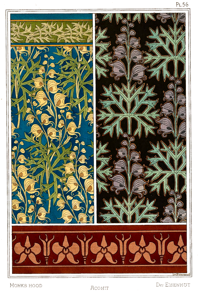 Monks hood, aconit, der eisenhut. La plante et ses applications ornementales by Grasset, M. E. Illustration by Maurice Pillard Verneuil (1896)