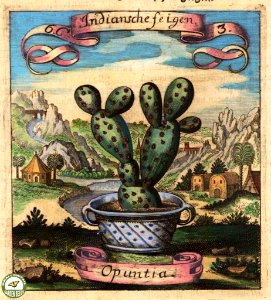 Optunia. Fruchtbringenden Gesellschaft Nahmen (1646) [Merian, M]. Free illustration for personal and commercial use.