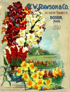 W.W. Rawson and Co. (1897)