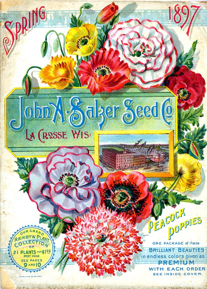A variety of poppies. John A. Salzer Seed Co. (1897)
