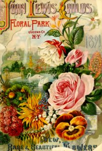 New, rare, and beautiful. John Lewis Childs, Inc. (1891)