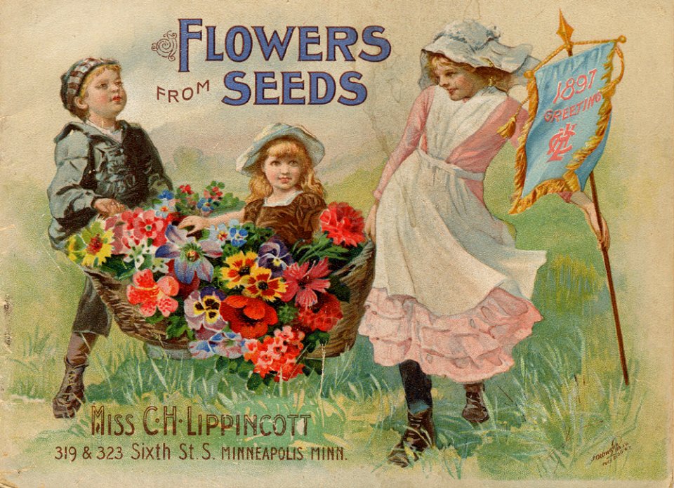 Playing in the flowers. Mrs. C. H. Lippincott seeds (1897)