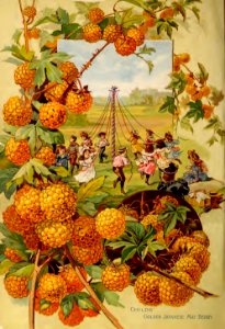 Golden Japanese may berry. John Lewis Childs, Inc. (1895). Free illustration for personal and commercial use.