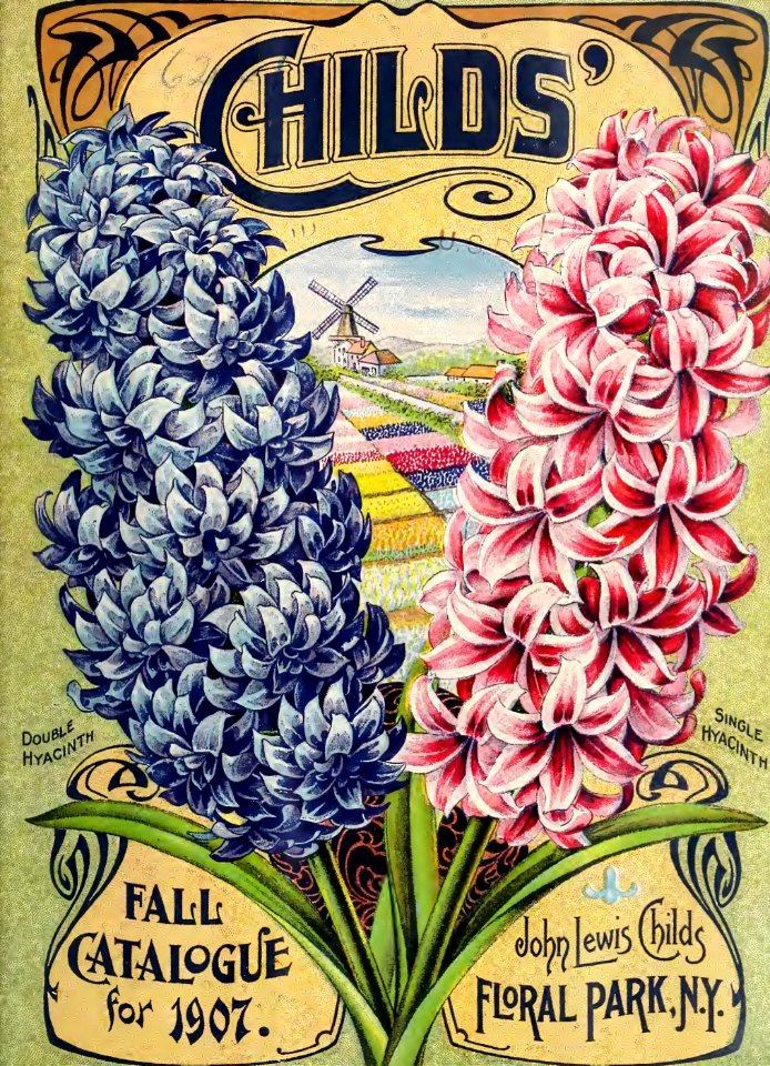 Hyacinths. John Lewis Childs, Inc. (1907)