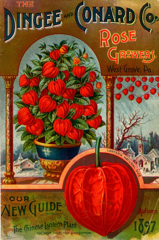 Dingee and Conard Co. (1897)