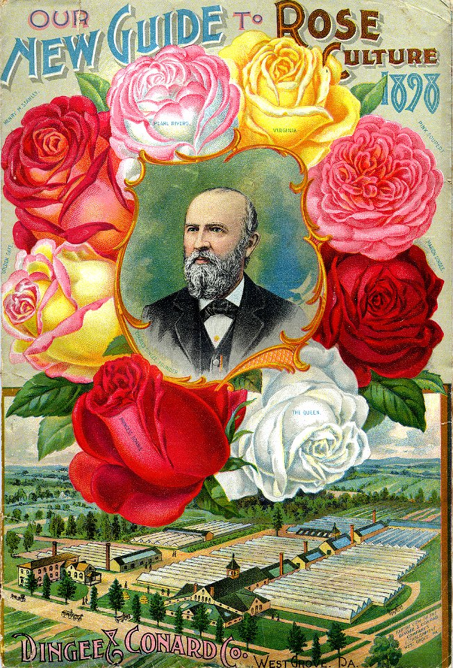 Our New Guide to Rose Culture. Dingee and Conard co. (1898)