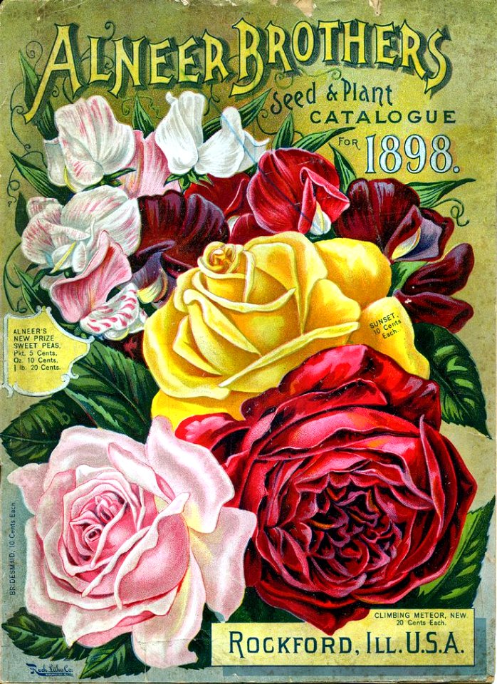 Roses and sweet peas. Alneer Brothers (1898).
