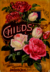 Roses on front catalog cover. John Lewis Childs 1898. Free illustration for personal and commercial use.