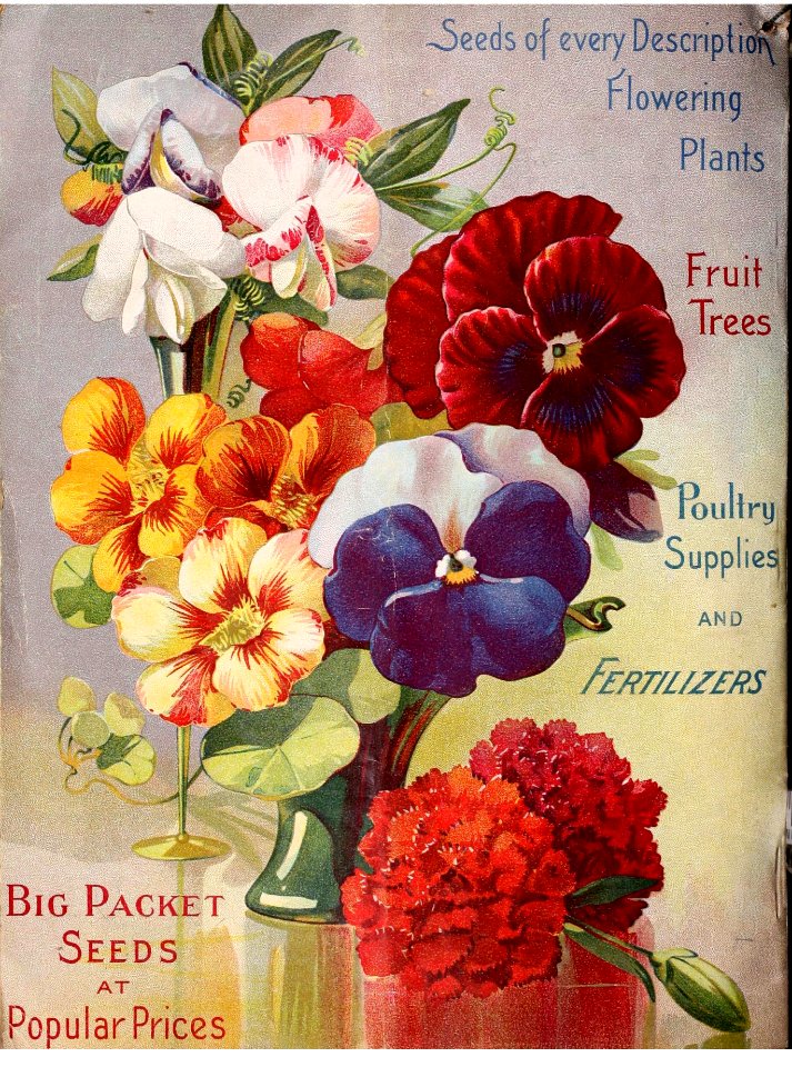 Pansy, nasturtium and sweet pea. 1906 annual catalogue : Otto Schwill & Co.