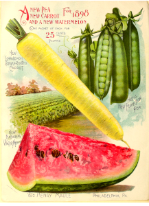 New for 1898. Pea, carrot, and watermelon. Maule's seed catalogue (1898)